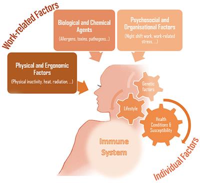 Editorial: Occupational immunology: current knowledge and future perspectives